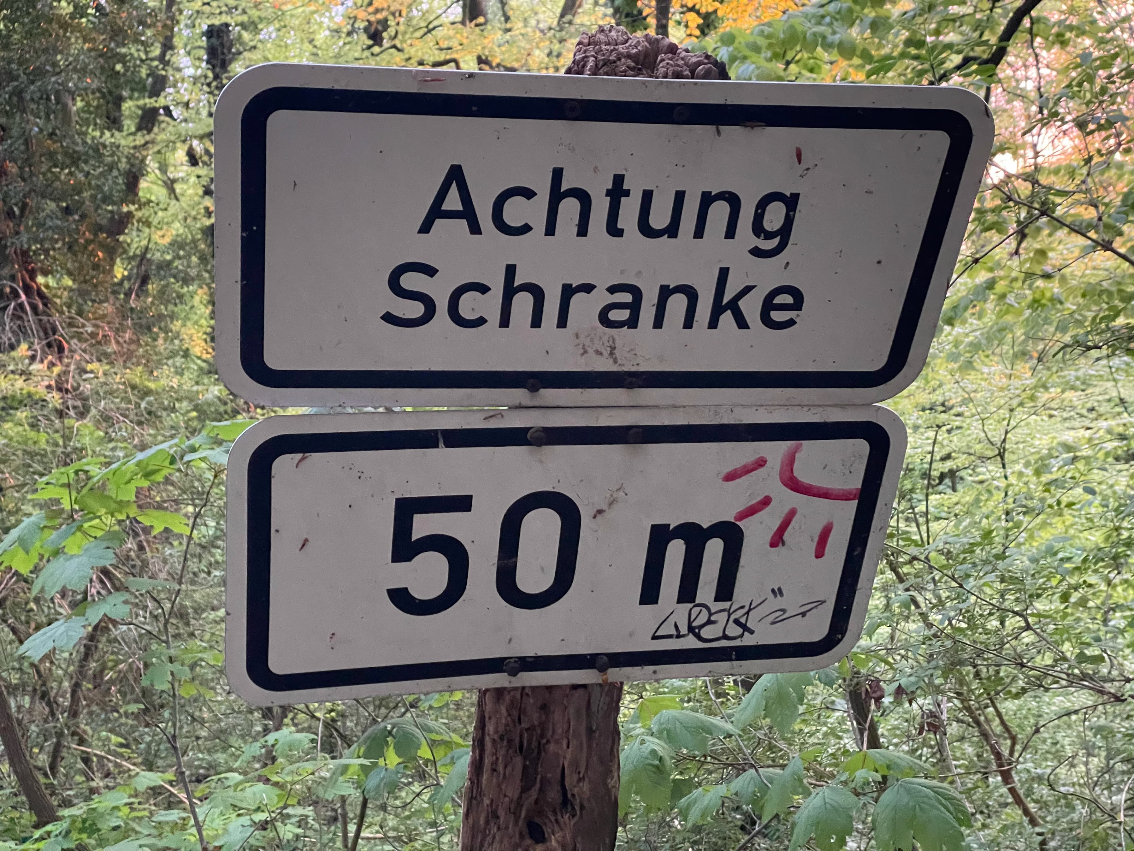 a sign on a tree