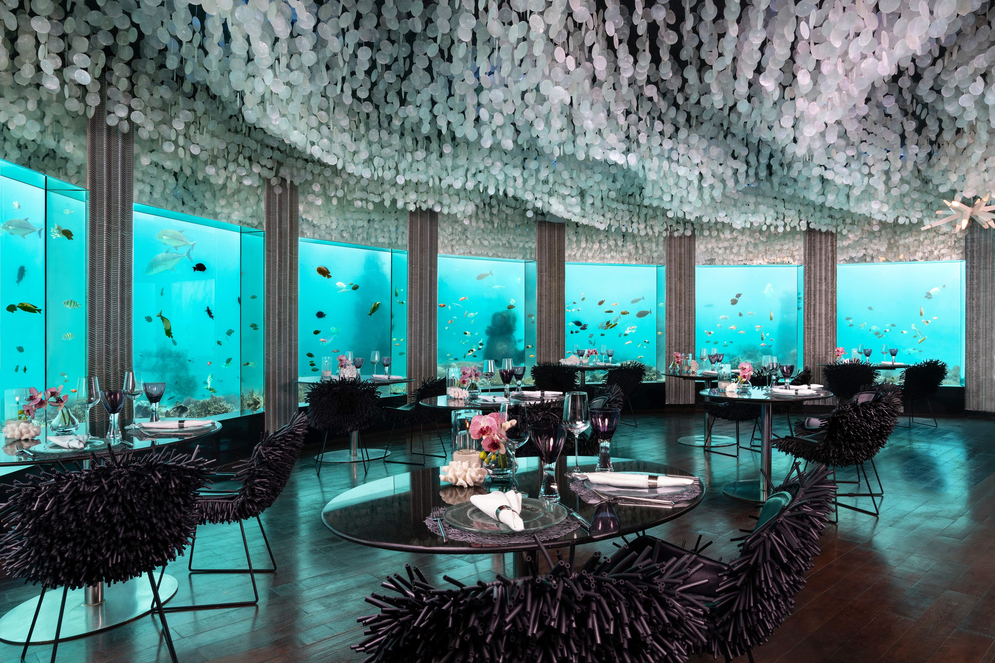 Niyama Private Islands Maldives Ansicht 10