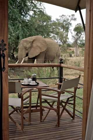 Ashnil Samburu Camp Ansicht 2