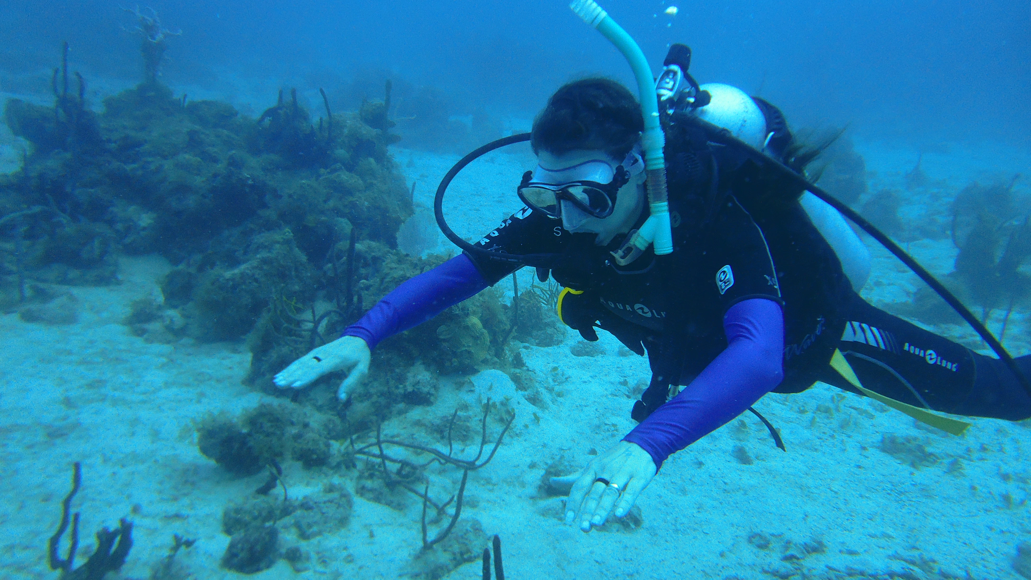 a man in a scuba suit diving in the ocean