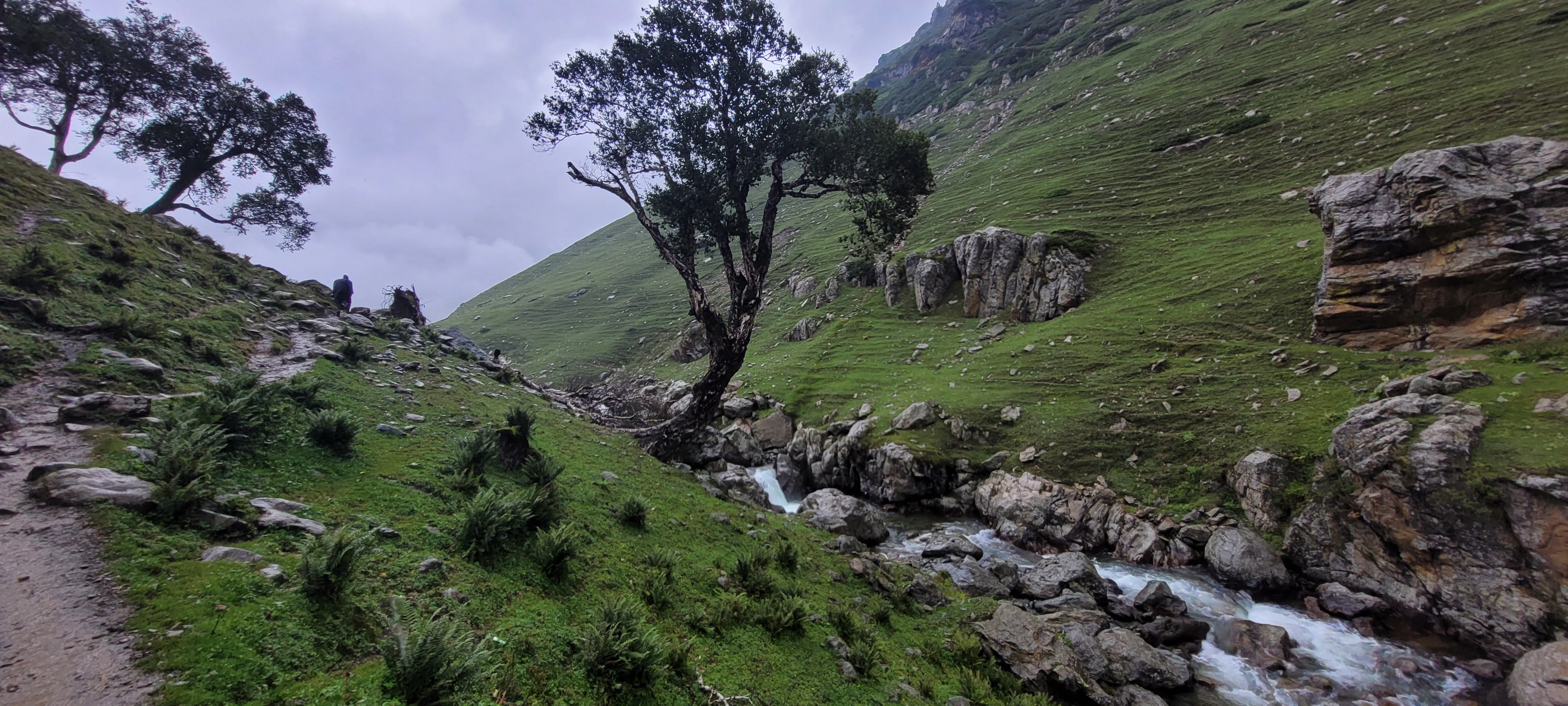 a rocky hillside with a stream running through it