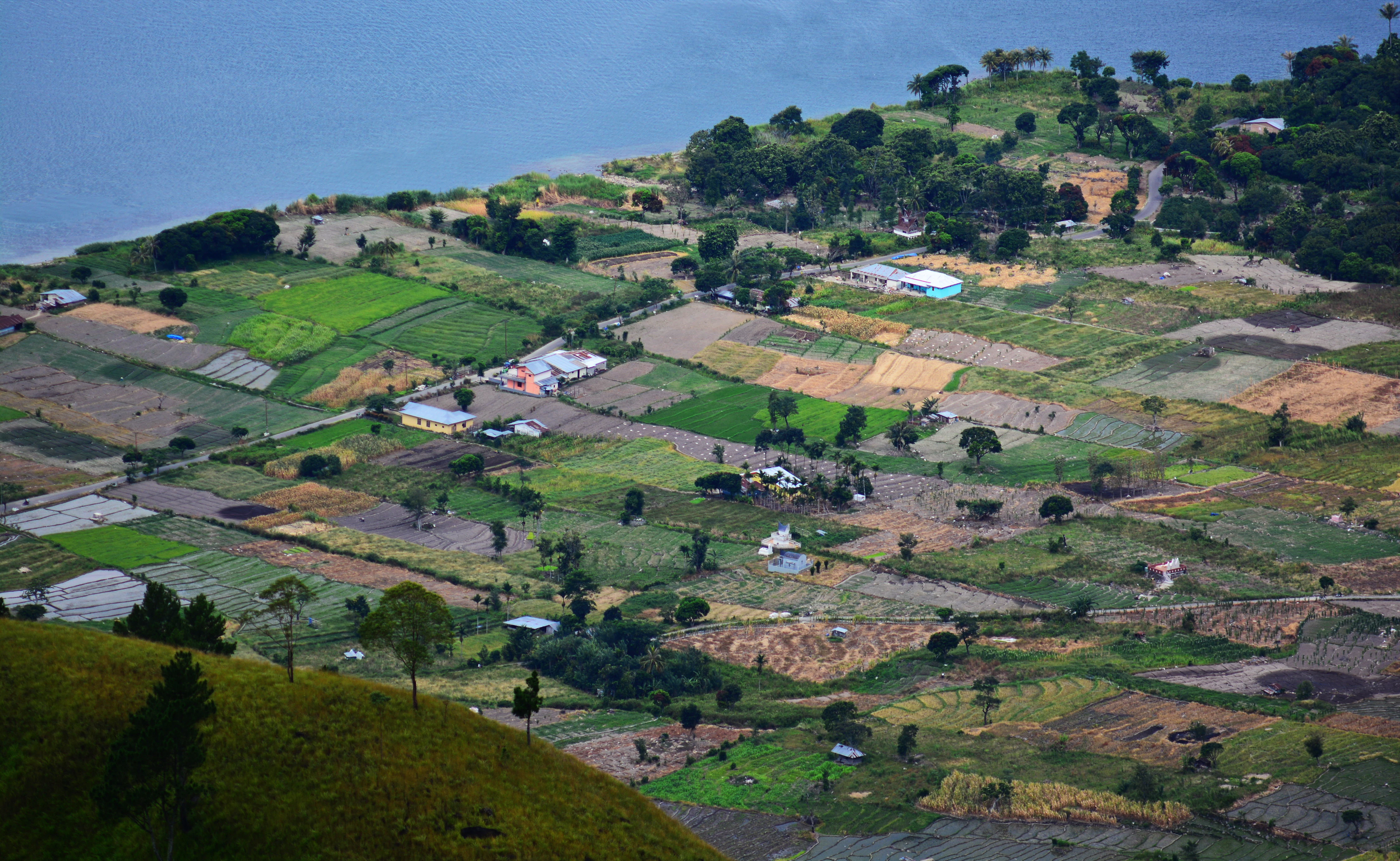 a landscape with houses and trees