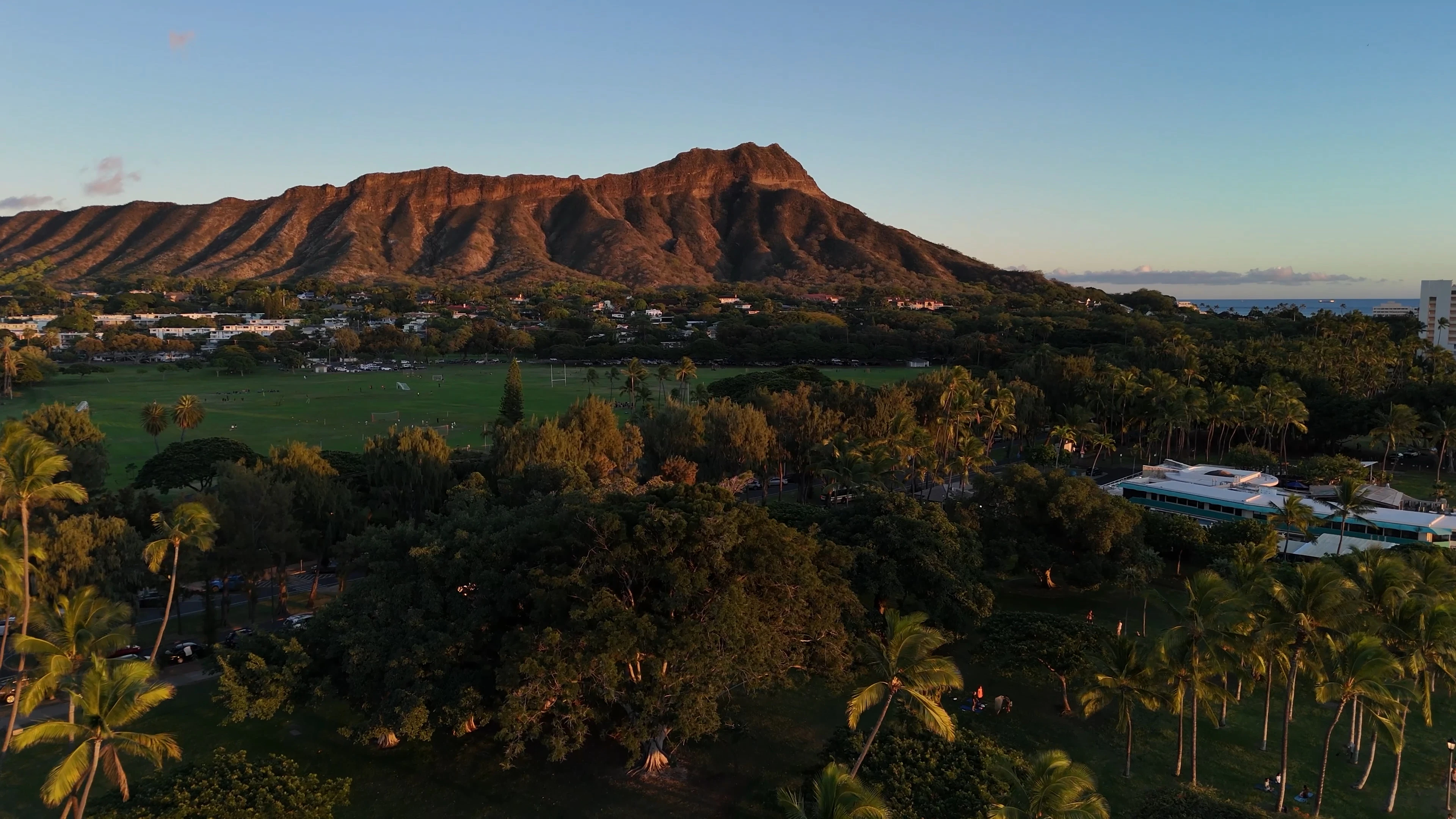 An aerial view of a lush green field with a mountain in the background