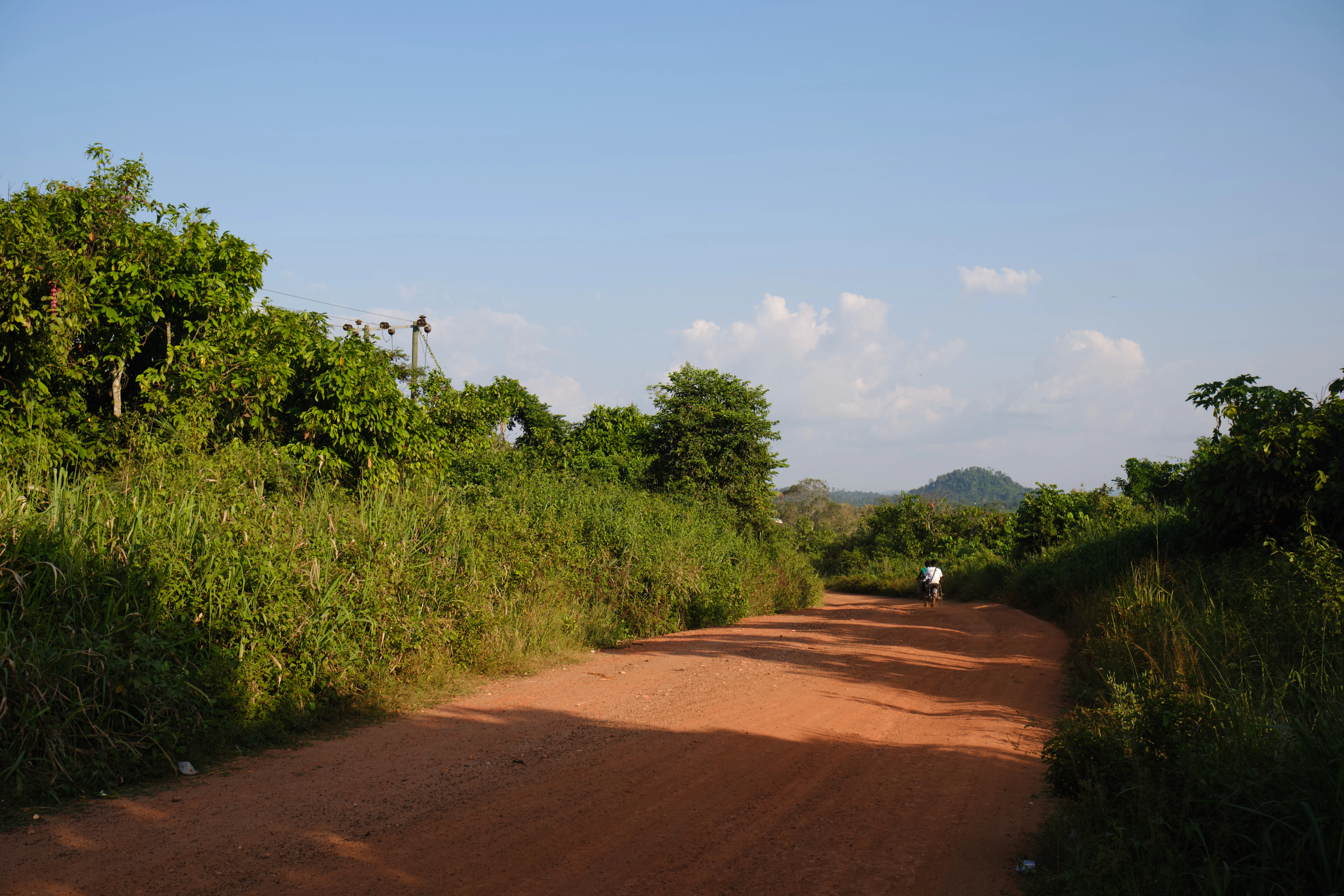 Dirt road through lush green vegetation under blue sky