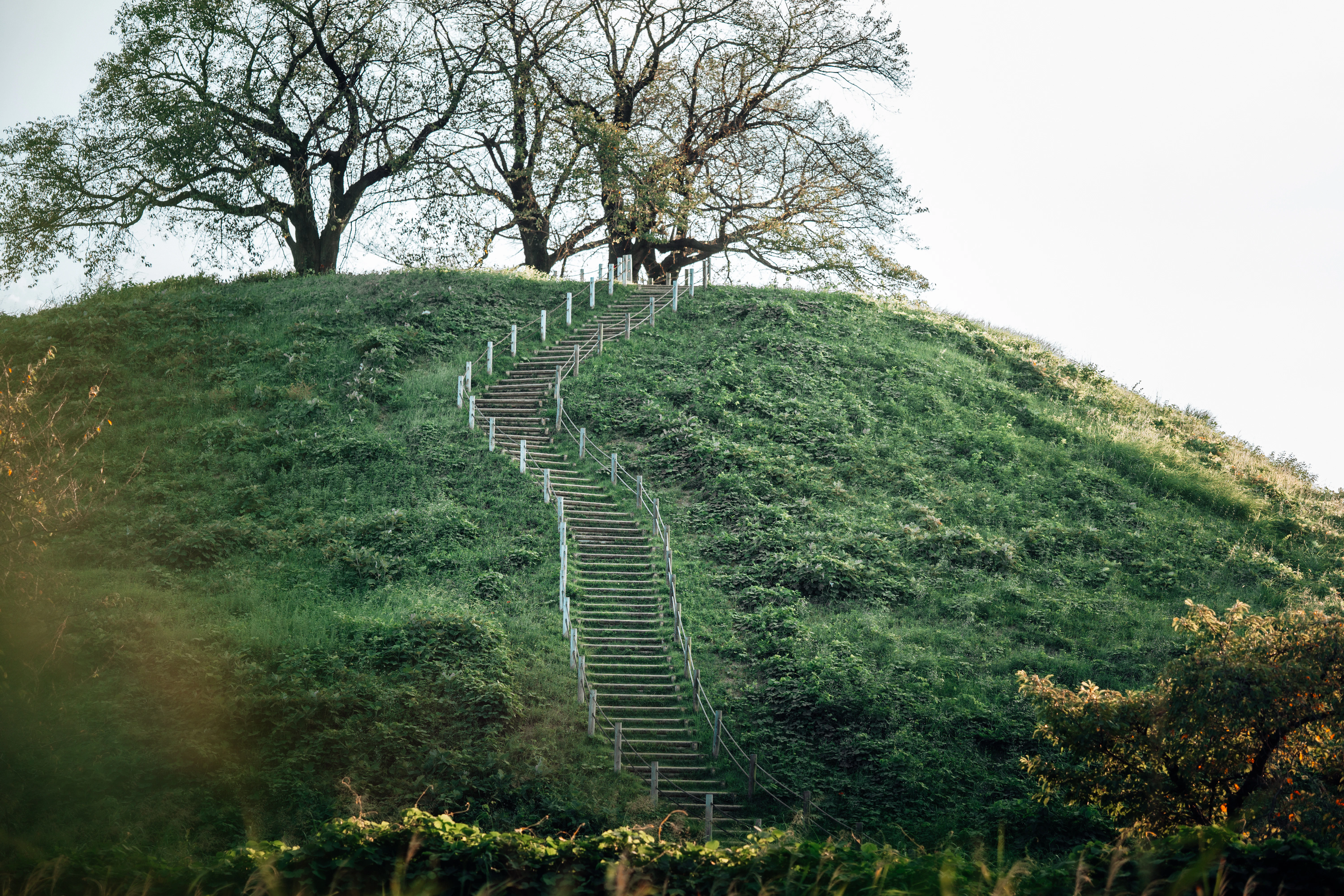 a set of stairs going up a grassy hill