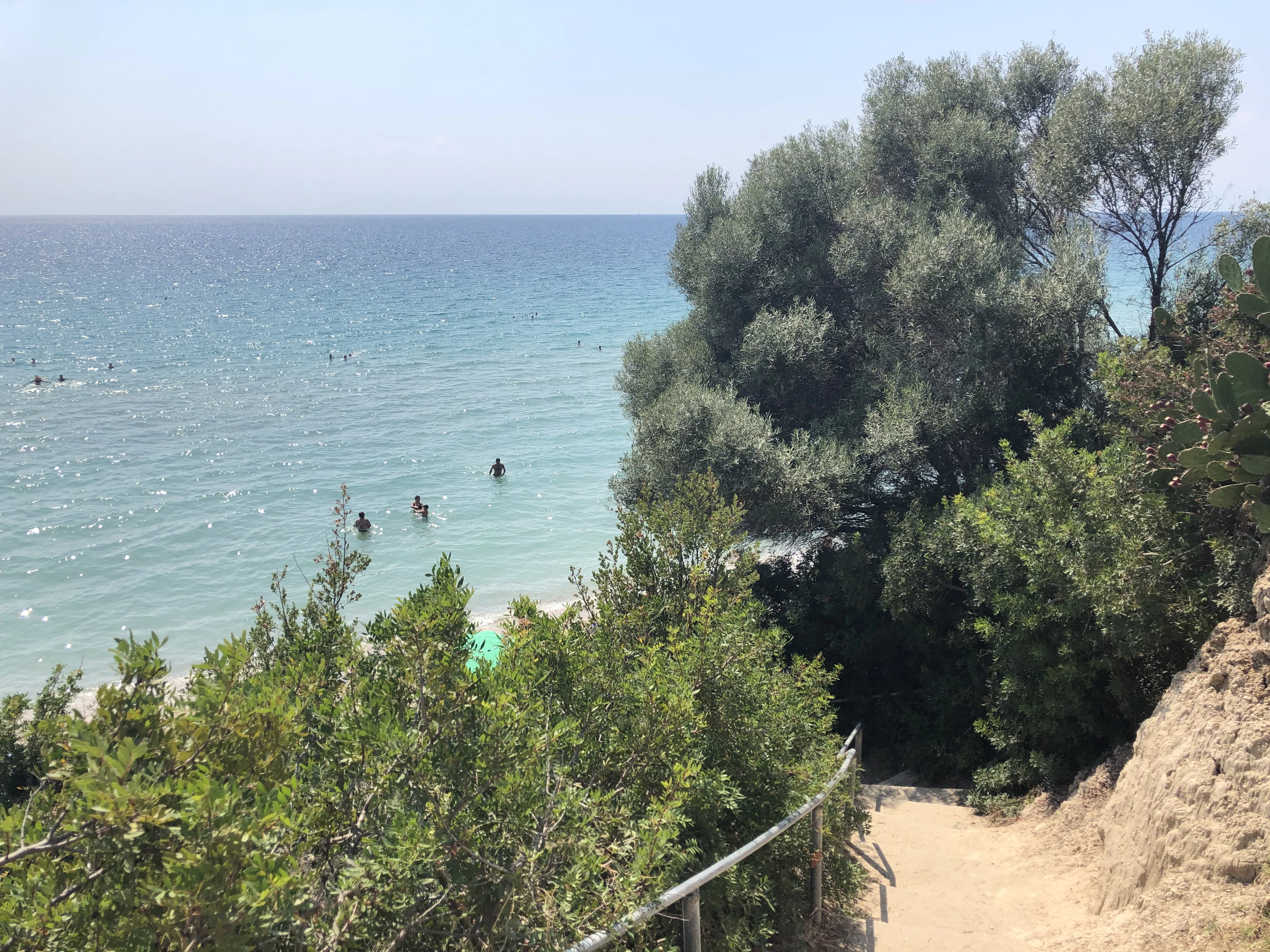 body of water near trees
