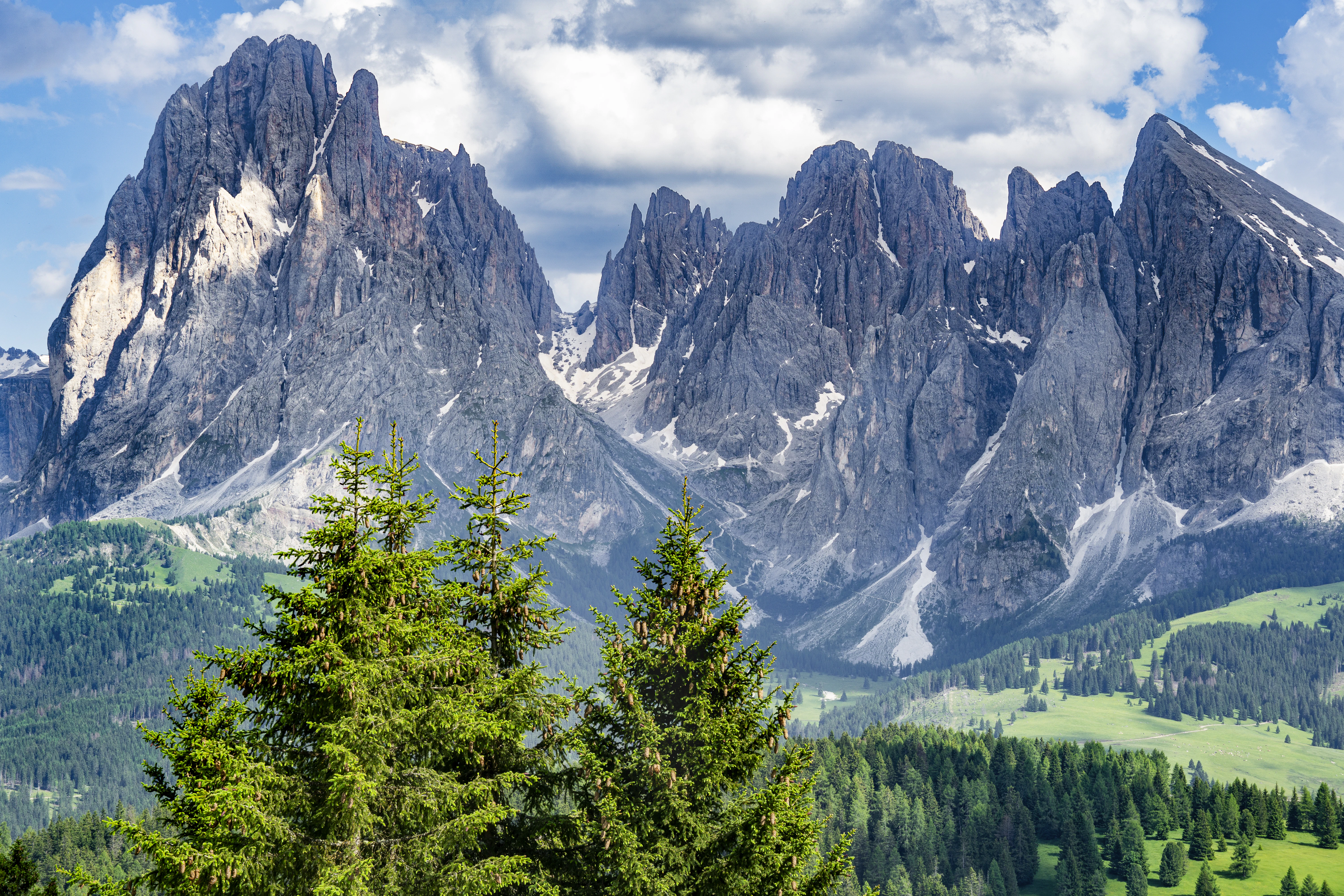 A mountain range with trees and mountains in the background